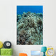 Colonies Soft Coral Thrive Wall Decal