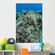 Colonies Soft Coral Thrive Wall Decal