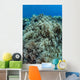 Colonies Soft Coral Thrive Wall Decal