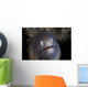 White-eyed Moray Eel Looks Wall Decal