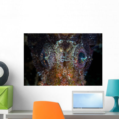 Eyes Shortfin Lionfish Wall Decal shown on a wall