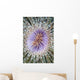 Close-up Tube Anemone Wall Decal
