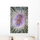 Close-up Tube Anemone Wall Decal