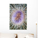 Close-up Tube Anemone Wall Decal