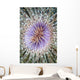 Close-up Tube Anemone Wall Decal