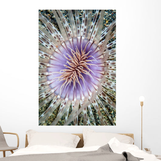 Close-up Tube Anemone Wall Decal