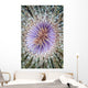 Close-up Tube Anemone Wall Decal