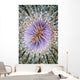Close-up Tube Anemone Wall Decal