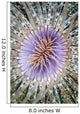 Close-up Tube Anemone Wall Decal