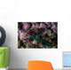 Colorful Nudibranch Crawls Slowly Wall Decal