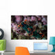 Colorful Nudibranch Crawls Slowly Wall Decal