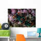 Colorful Nudibranch Crawls Slowly Wall Decal
