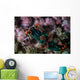 Colorful Nudibranch Crawls Slowly Wall Decal