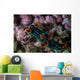 Colorful Nudibranch Crawls Slowly Wall Decal