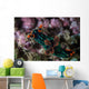Colorful Nudibranch Crawls Slowly Wall Decal