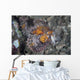 Well-camouflaged Scorpionfish Lies Underwater Wall Decal