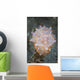 Colorful Nudibranch near Island Wall Decal