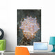 Colorful Nudibranch near Island Wall Decal