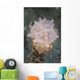 Colorful Nudibranch near Island Wall Decal