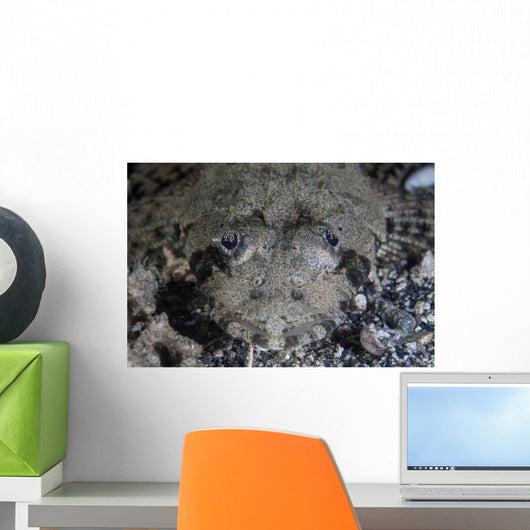 Camouflaged Horned Flathead Lays Wall Decal Design 2