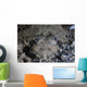 Camouflaged Horned Flathead Lays Wall Decal Design 2