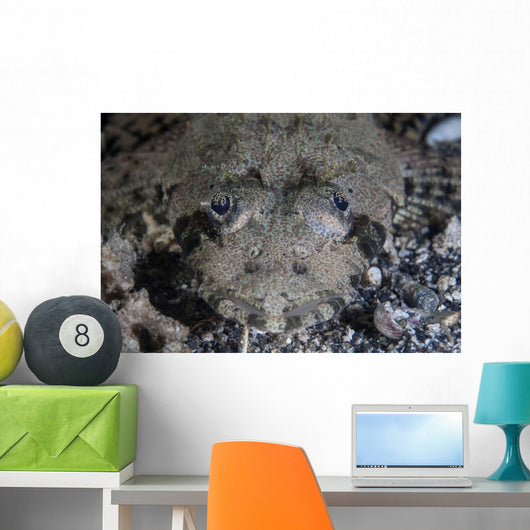 Camouflaged Horned Flathead Lays Wall Decal Design 2