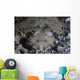 Camouflaged Horned Flathead Lays Wall Decal Design 2