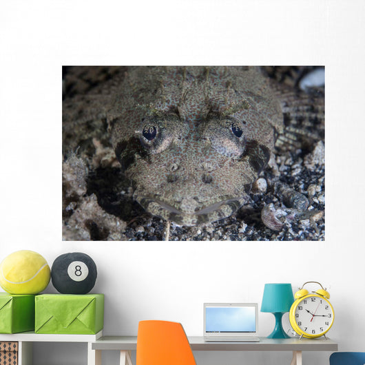 Camouflaged Horned Flathead Lays Wall Decal Design 2