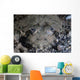 Camouflaged Horned Flathead Lays Wall Decal Design 2
