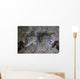 Camouflaged Horned Flathead Lays Wall Decal Design 1