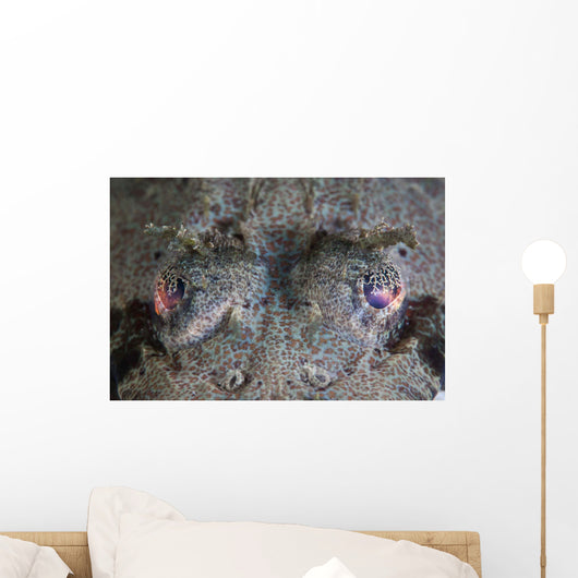 Camouflaged Horned Flathead Lays Wall Decal Design 1