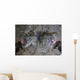Camouflaged Horned Flathead Lays Wall Decal Design 1