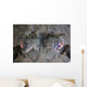 Camouflaged Horned Flathead Lays Wall Decal Design 1