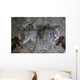 Camouflaged Horned Flathead Lays Wall Decal Design 1