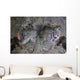 Camouflaged Horned Flathead Lays Wall Decal Design 1