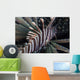 Kodipungi Lionfish near Island Wall Decal