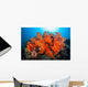 Beautiful Soft Corals and Wall Decal Design 2