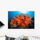 Beautiful Soft Corals and Wall Decal Design 2