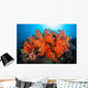 Beautiful Soft Corals and Wall Decal Design 2