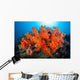 Beautiful Soft Corals and Wall Decal Design 2