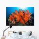Beautiful Soft Corals and Wall Decal Design 2