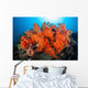 Beautiful Soft Corals and Wall Decal Design 2