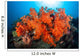 Beautiful Soft Corals and Wall Decal Design 2