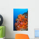 Beautiful Soft Corals and Wall Decal Design 1