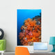 Beautiful Soft Corals and Wall Decal Design 1