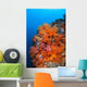 Beautiful Soft Corals and Wall Decal Design 1