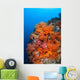 Beautiful Soft Corals and Wall Decal Design 1