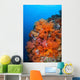 Beautiful Soft Corals and Wall Decal Design 1