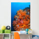 Beautiful Soft Corals and Wall Decal Design 1