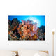 Soft Corals and Other Wall Decal Design 5